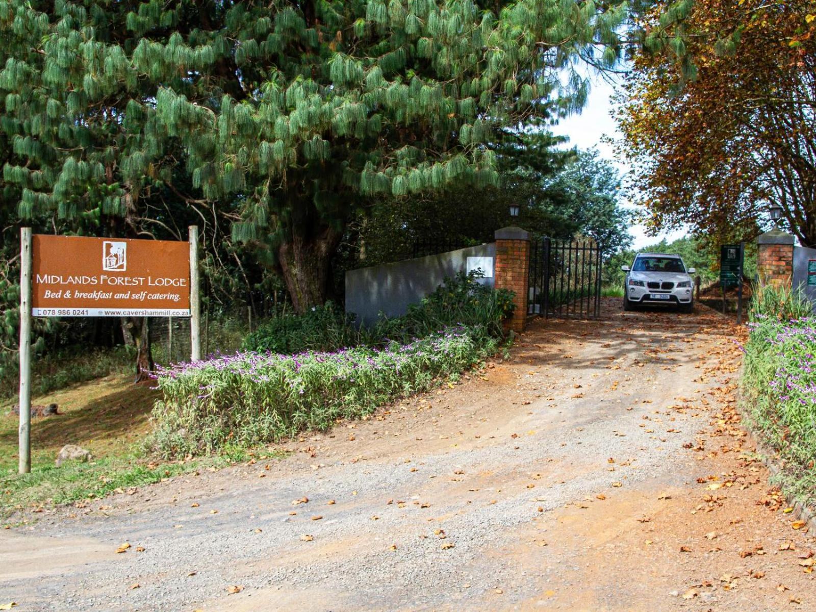 Midlands Forest Lodge Balgowan Dış mekan fotoğraf